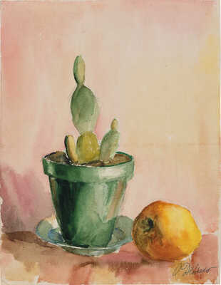 Дейнеко Ольга Константиновна. Кактус и яблоко